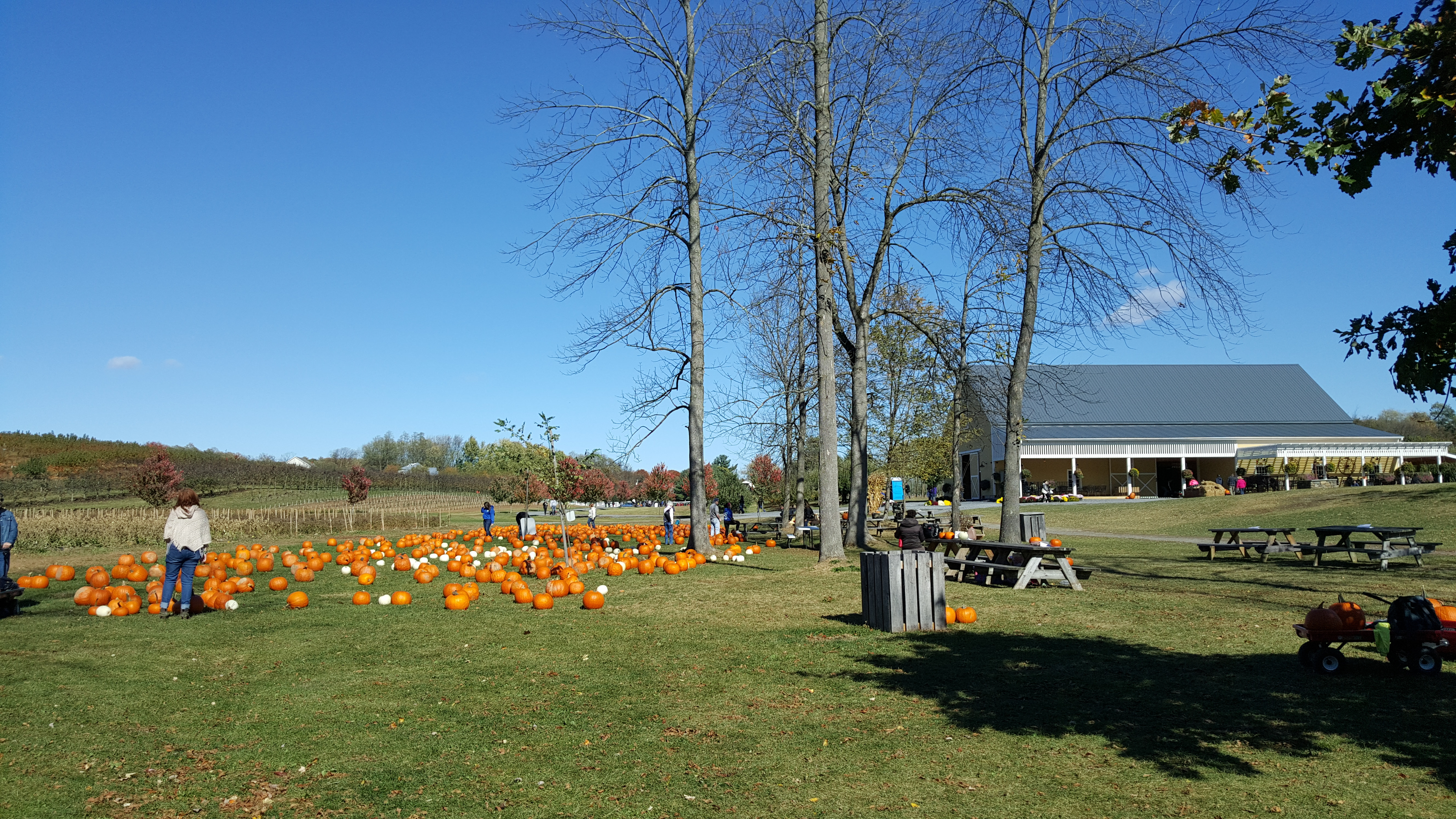 Dubois Farms