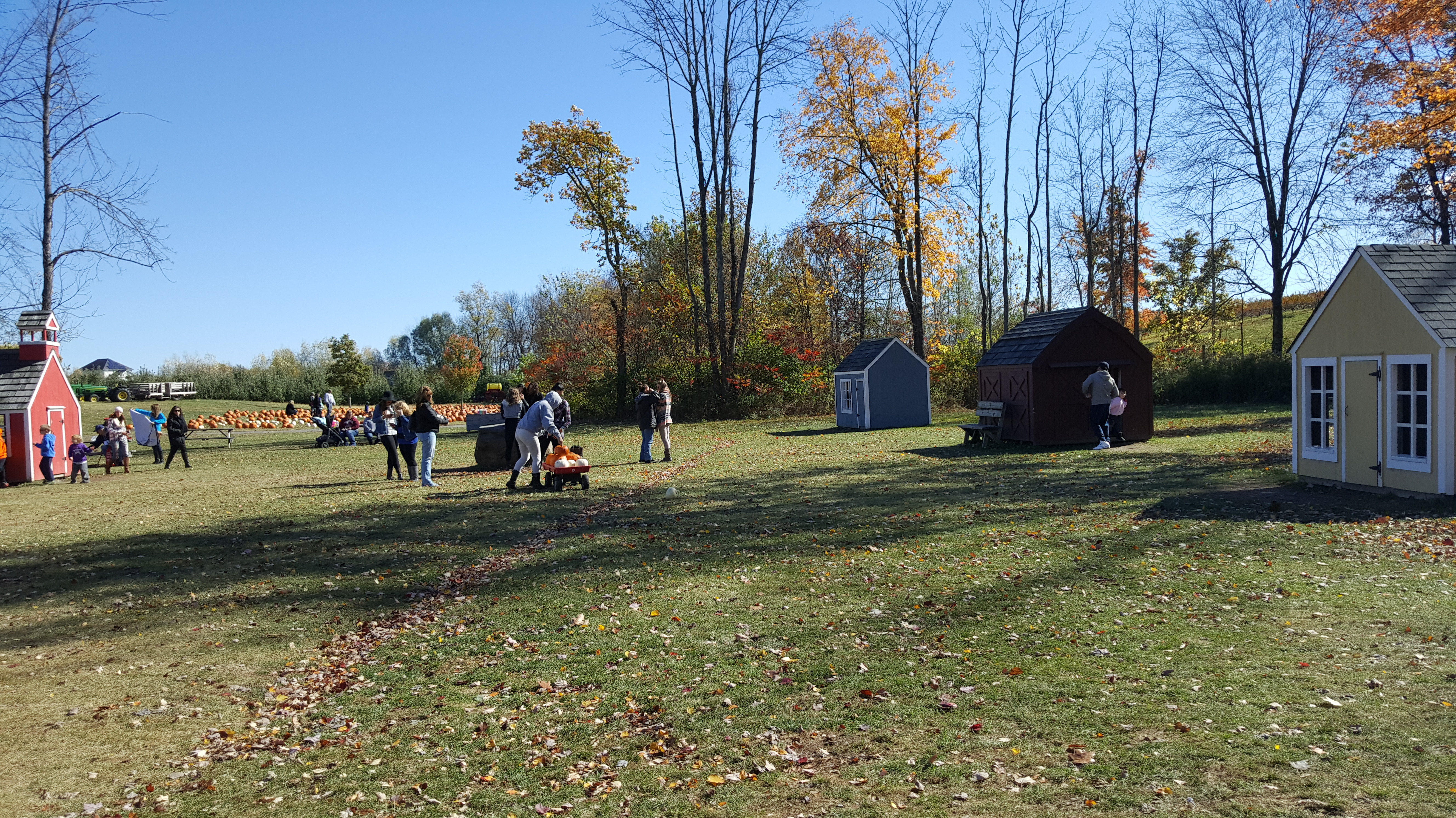 Dubois Farms