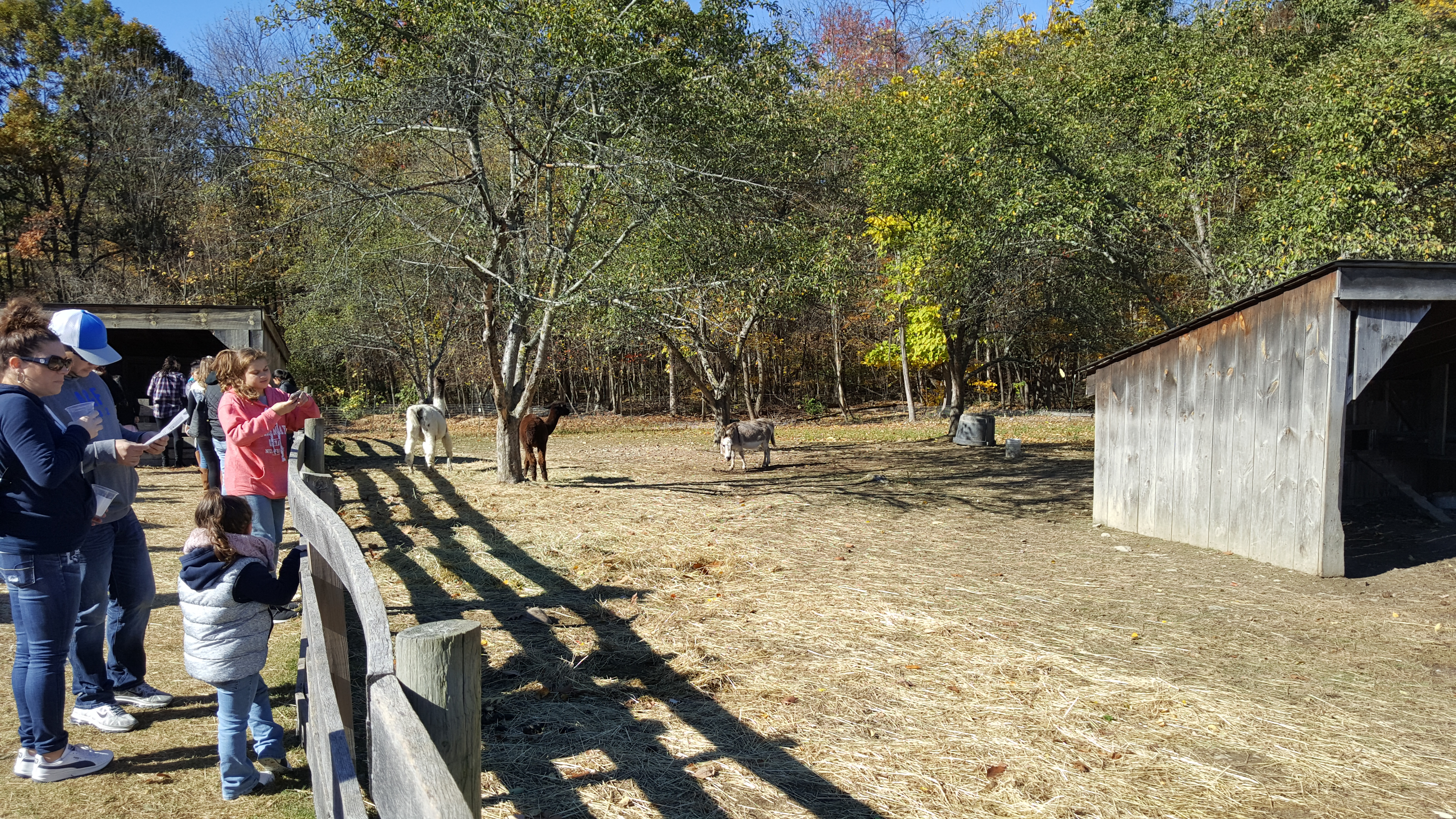 Dubois Farms